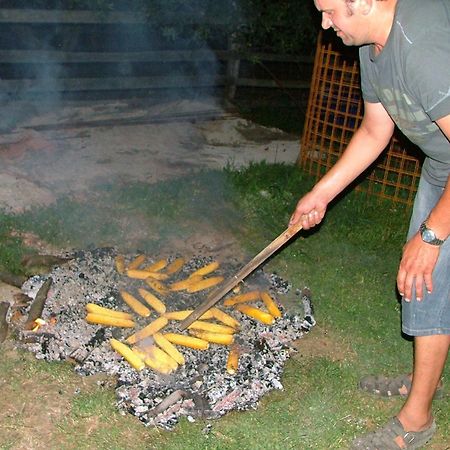 فيلا Tourist Farm Pri Martinovih Krška Vas المظهر الخارجي الصورة
