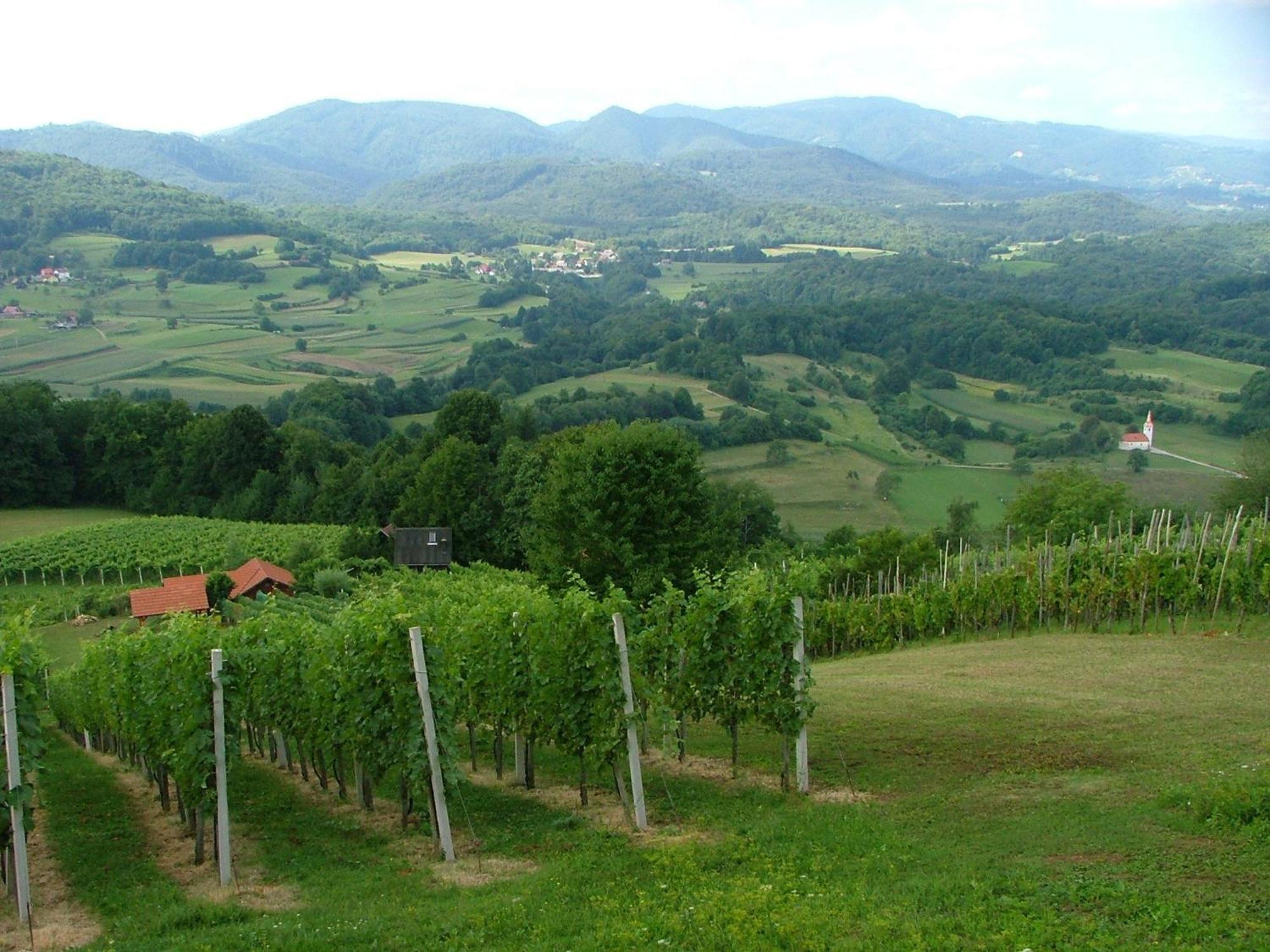 فيلا Tourist Farm Pri Martinovih Krška Vas المظهر الخارجي الصورة